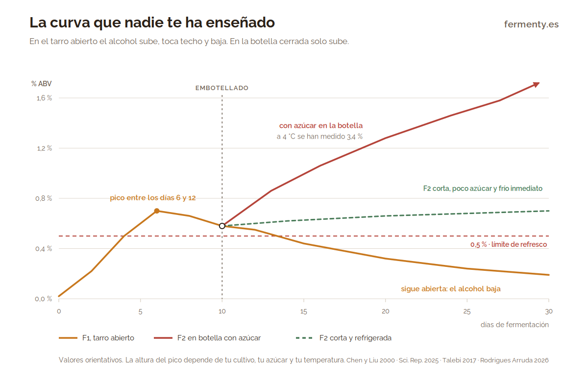 Gráfico de la evolución del alcohol en kombucha: pico entre los días 6 y 12 en fermentación abierta y subida sostenida en botella cerrada